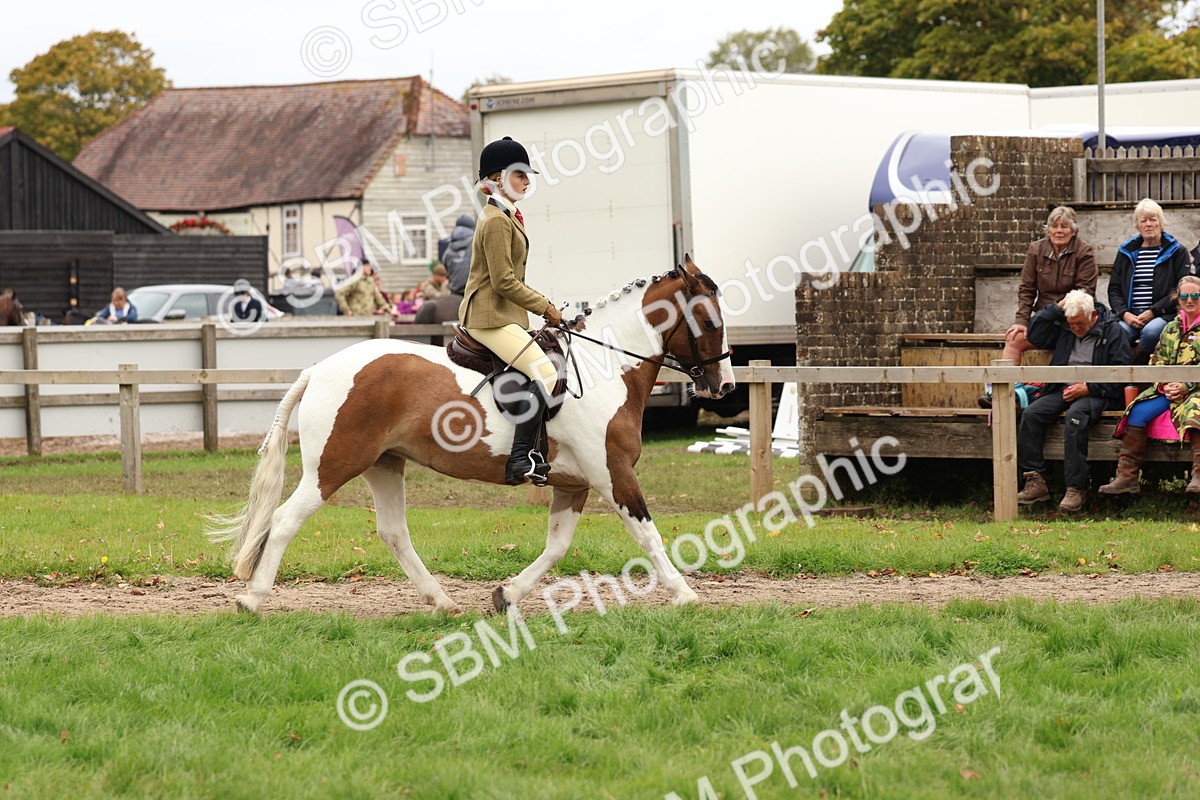 SBM_64438 - S58 - Coloured Pony Ridden