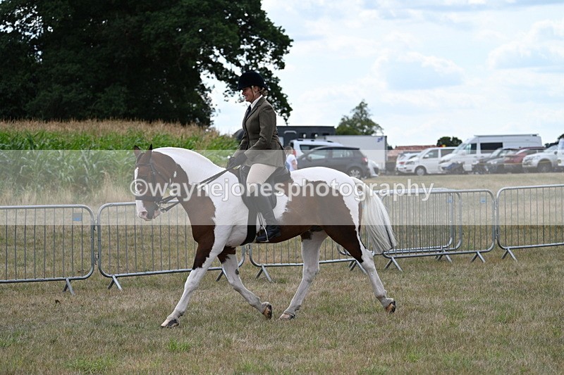 WJ7_4998 - Class 12 Ridden Cob