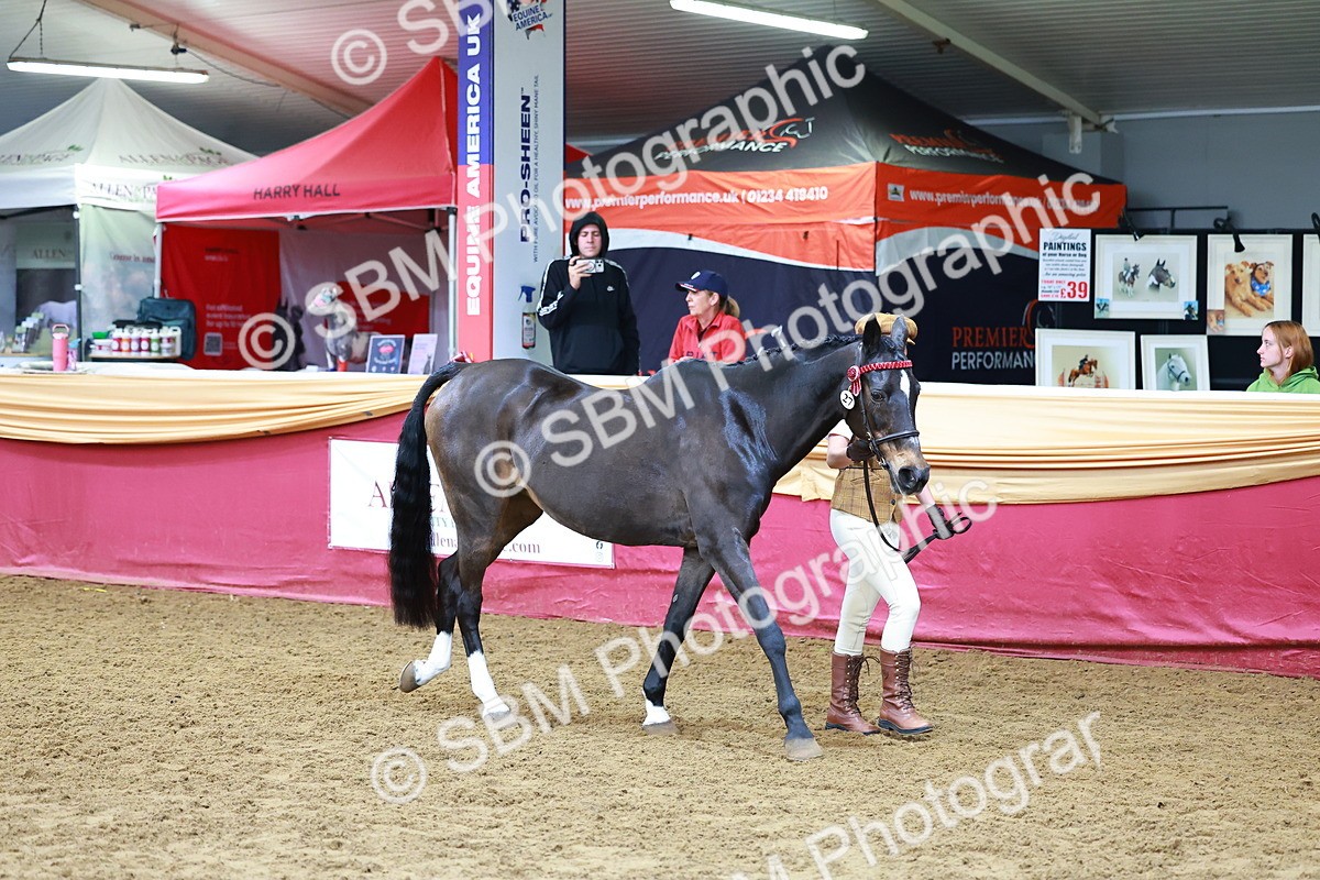 SBM_16087 - Class 901 - Sup Final - IH Diamond