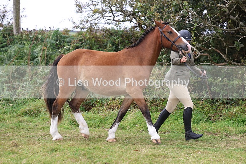 3E7A4530 - Class 16: Best Grass Kept