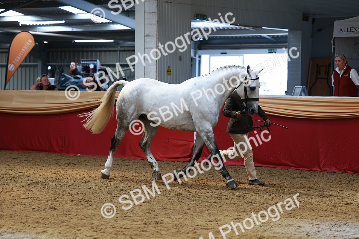SBM_04118 - Class 9R - IH Pre-Vet
