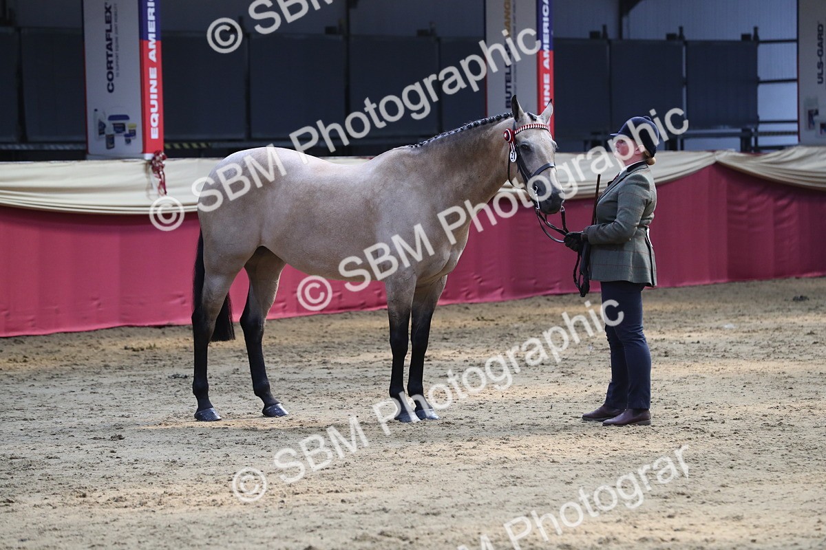 SBM_06555 - Regional IH Champ
