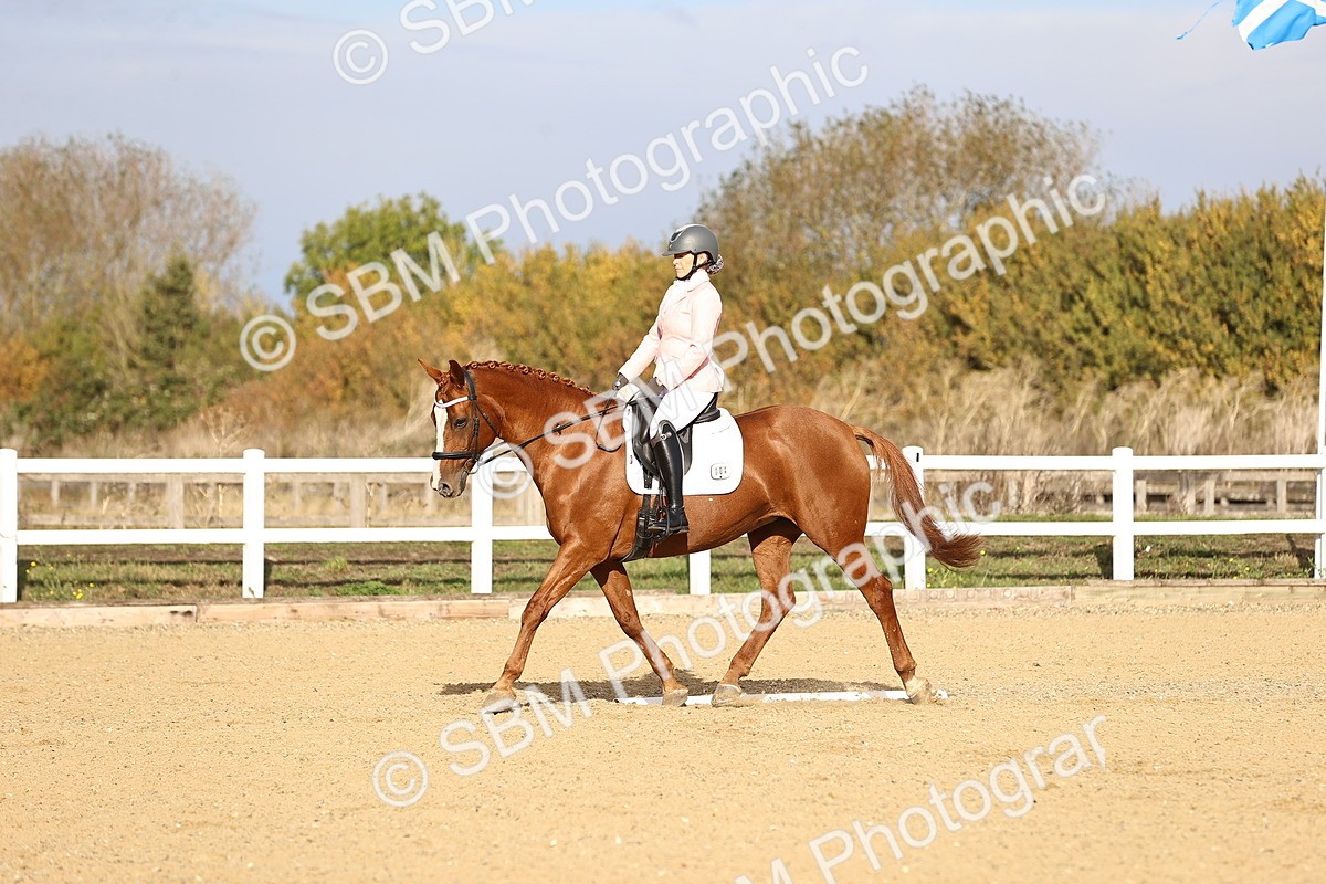 SBM_009141 - Class 2 - P5