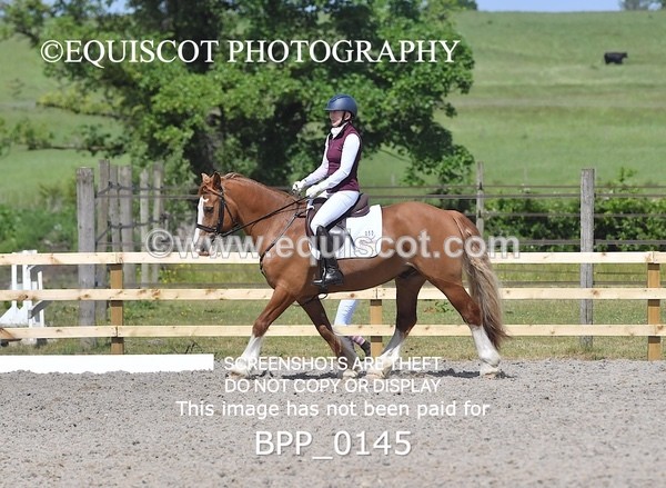 BPP_0145 - SHORT ARENA  MY QUEST PRELIM