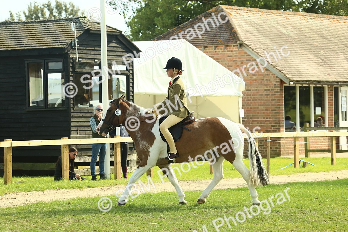 SBM_67649 - S56 - Coloured Pony Ridden