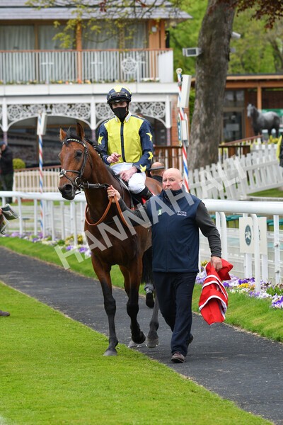 yr14052021r3-29 - Race 3 2.40pm The Matchbook Best Value Exchange Stakes