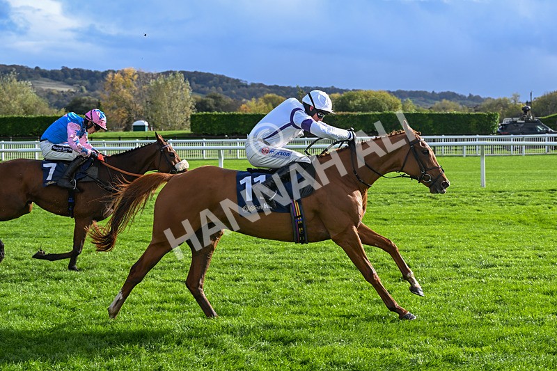 251025-Race 2-Easy Love-7781 - Race 2