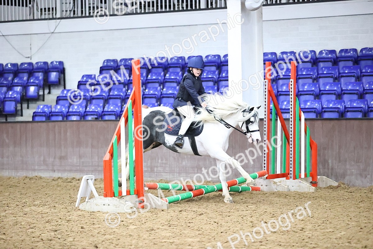 SBM_000062 - Class 1 - Fox Farriers 30cm