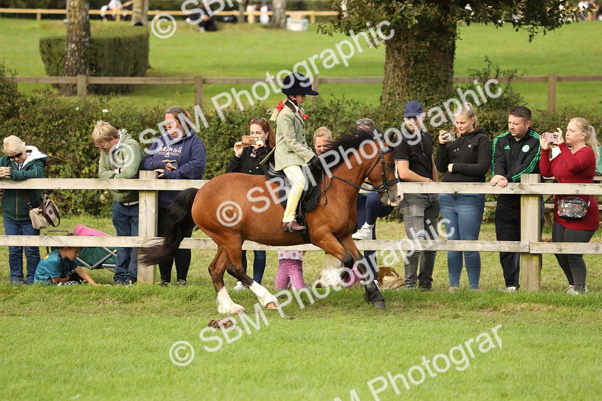 SBM_71542 - S41 - Ridden Equitation (Best Rider)
