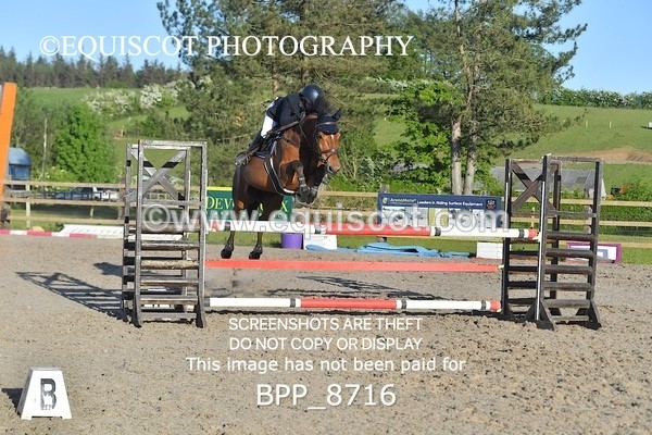 BPP_8716 - CLASS 6 Senior Newcomers/ 1.10m Open