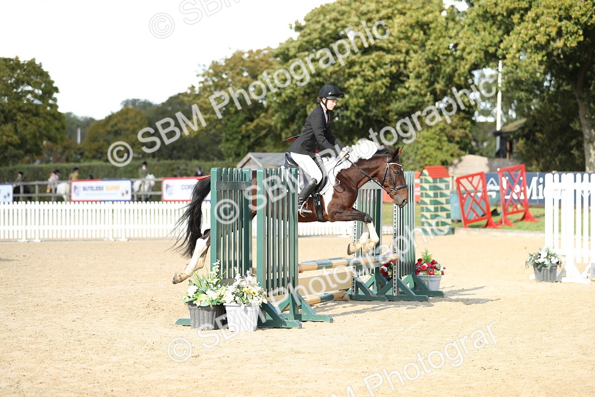 SBM_49498 - J22 - Junior Horse 65cm Championship