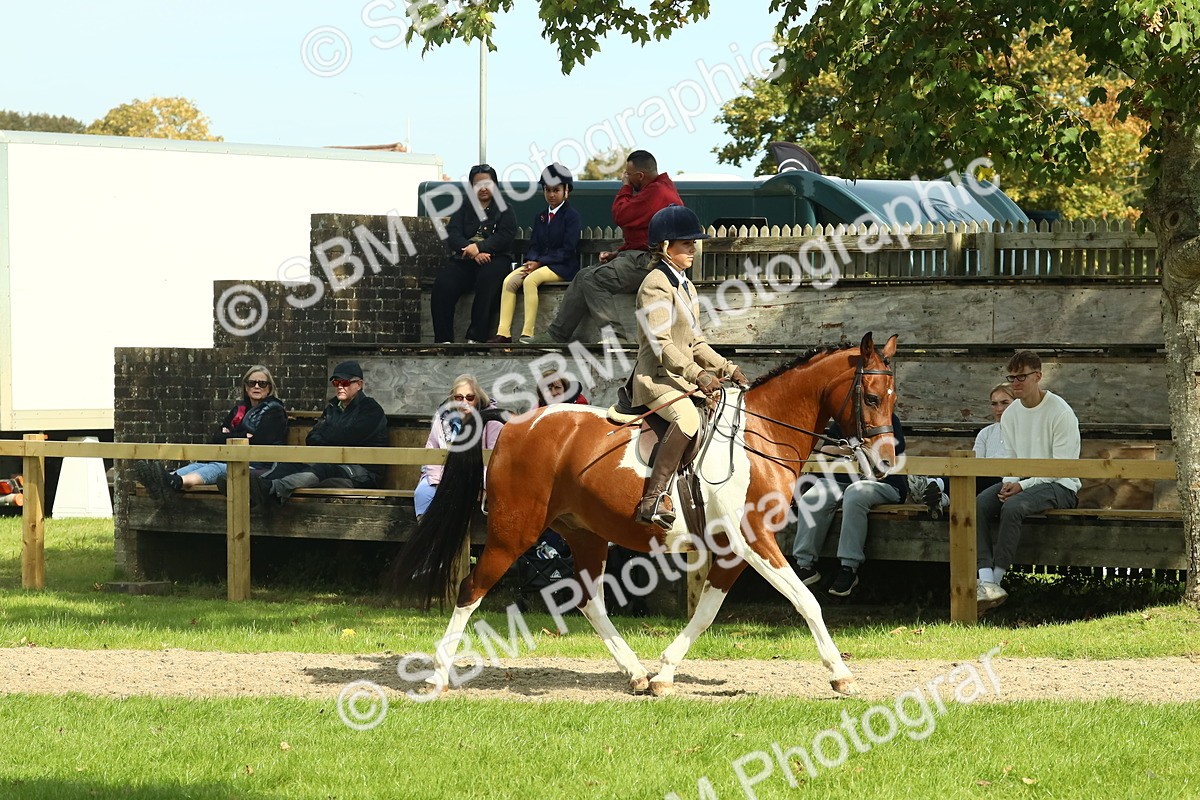 SBM_67490 - S56 - Coloured Pony Ridden