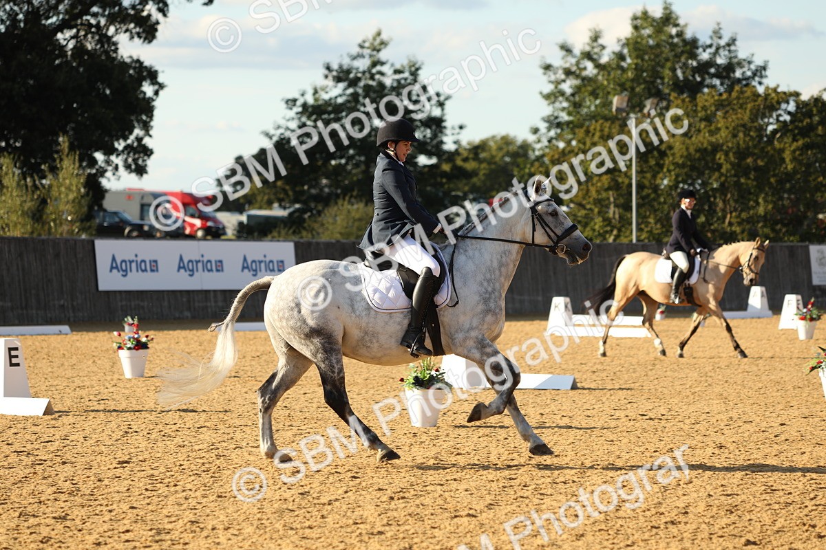 SBM_28718 - D20 - Grand Tour Championship - Elementary 44
