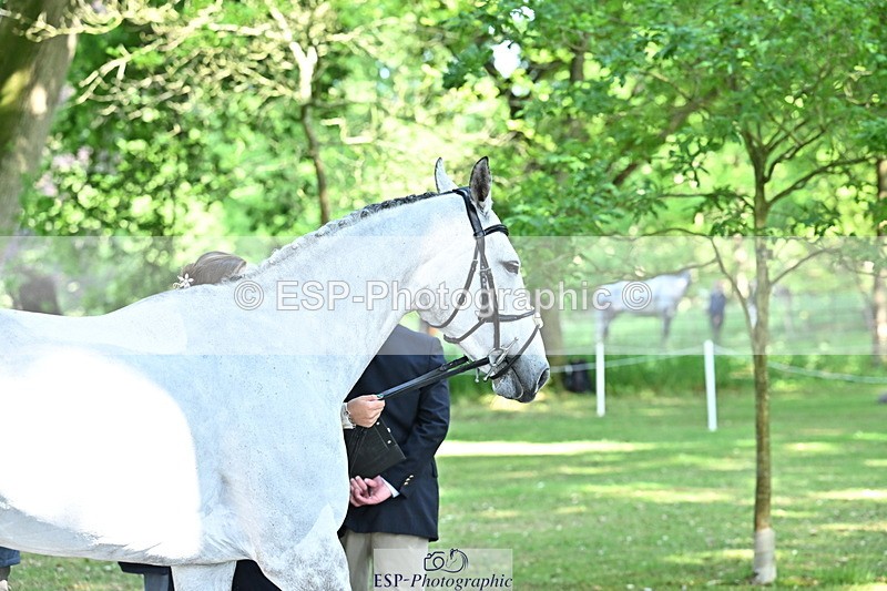 250521A-161652-01034 - C-212-Charlie.Perrott-KILMINGTON.FOLLY