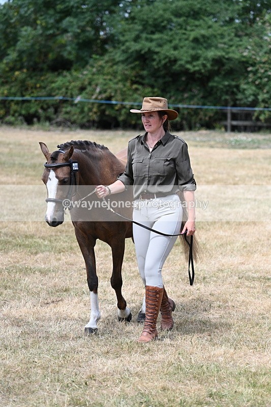 WJ7_2083 - Prettiest Mare Champs