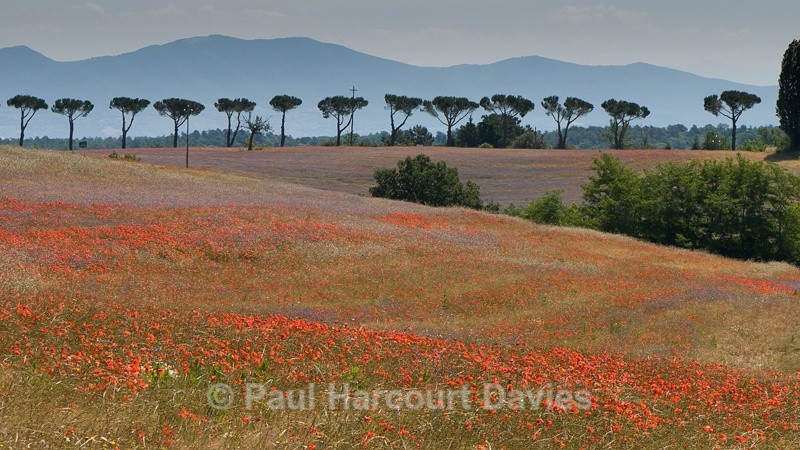  - ITALY - Home
