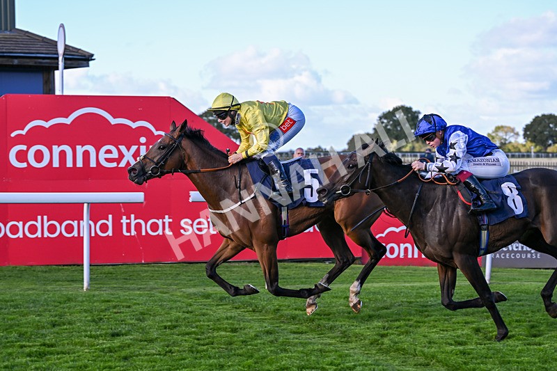 230925-Race 6-Kiss Me My Love-2003 - Race 6