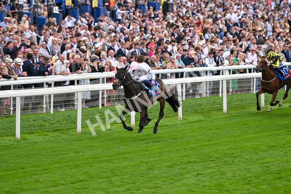 230825-Race 4-Ethical Diamond-0573 - Race 4 3.35pm Sky Bet Ebor Handicap
