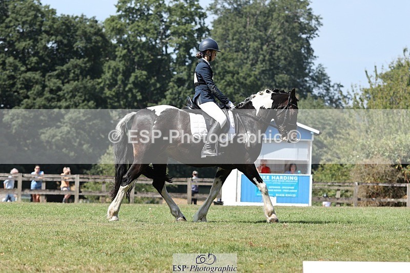 250823A-121025-29415 - Arena D