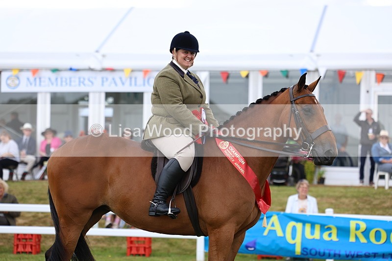 3E7A0679 - Rising Star Ridden Championship