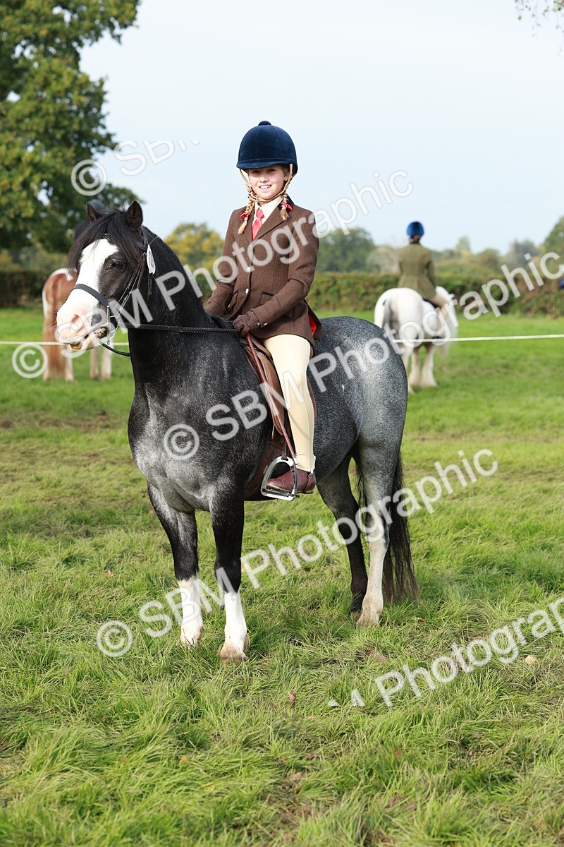 SBM_56443 - S39 - Starters In Hand Showing