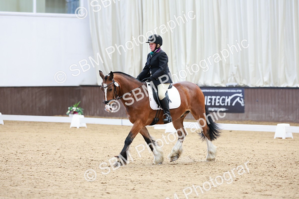 SBM_008082 - Class 6b - Novice 6 - 9.28-10.41