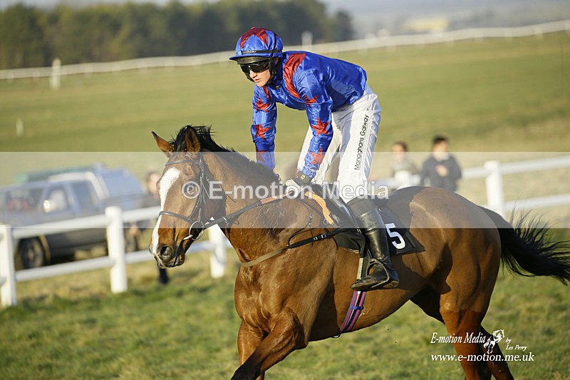 PtP 270222 731 - South & West Wilts Point-to-Point Larkhill 27/02/22