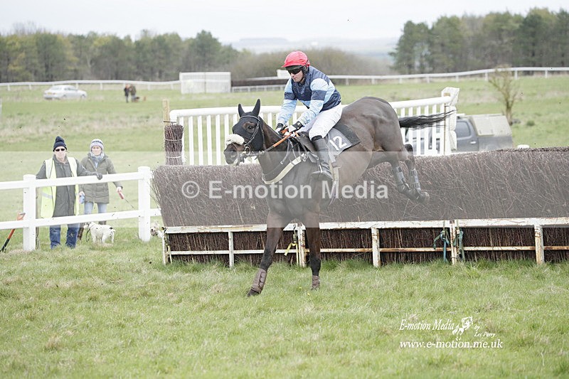 PtP 260323 0472 - New Forest Hounds Point-to-Point Larkhill 26/03/23