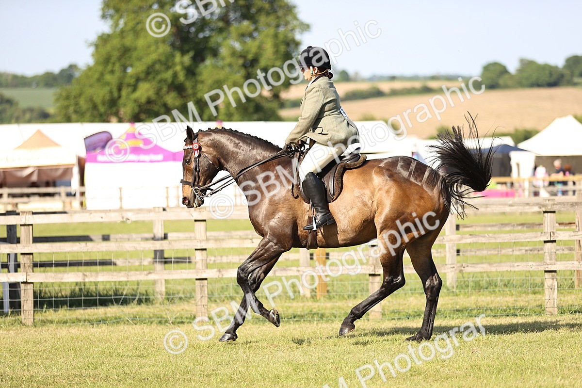 SBM_19757 - Class 87-88 - RIHS BSHA Riding Horses