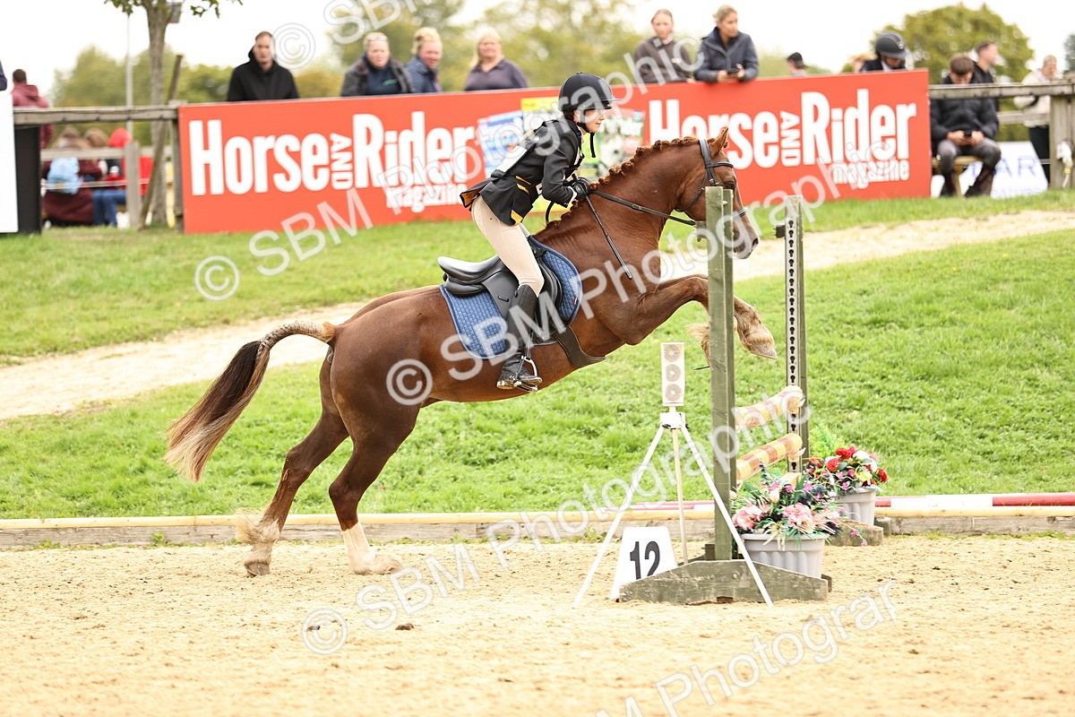 SBM_66452 - J17 - Junior Pony 80cm Championship
