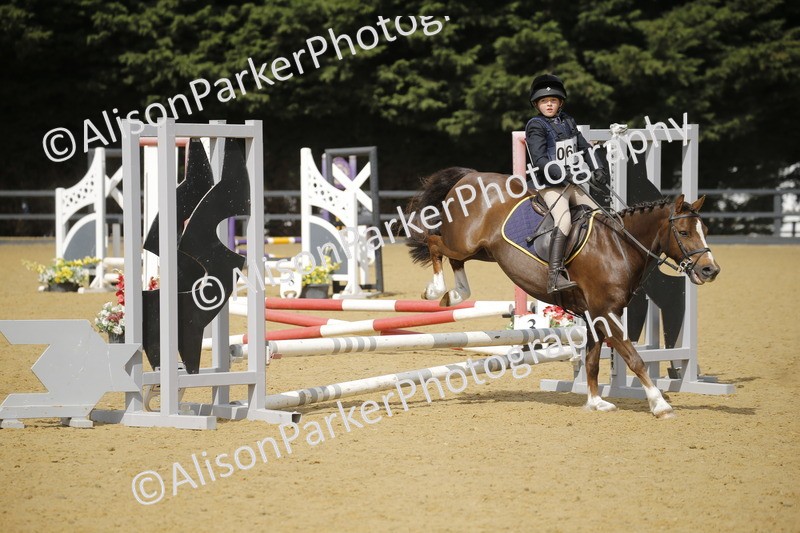 20250622-3676 - 50cm