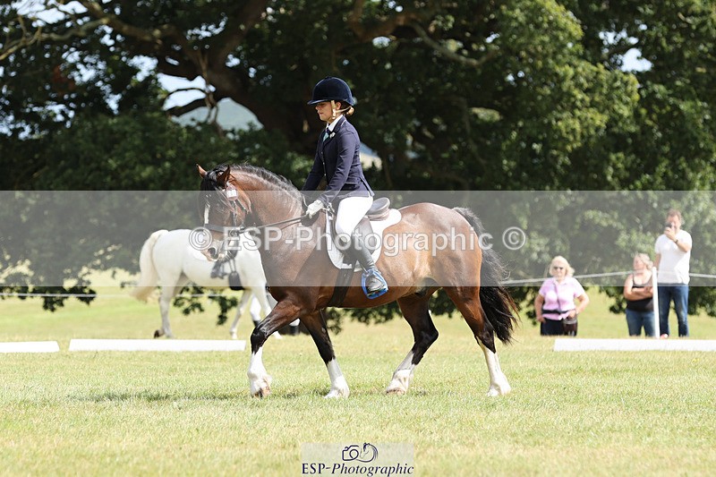 240824X-132017-27290 - D80 Section G and H 12.00 to 13.30