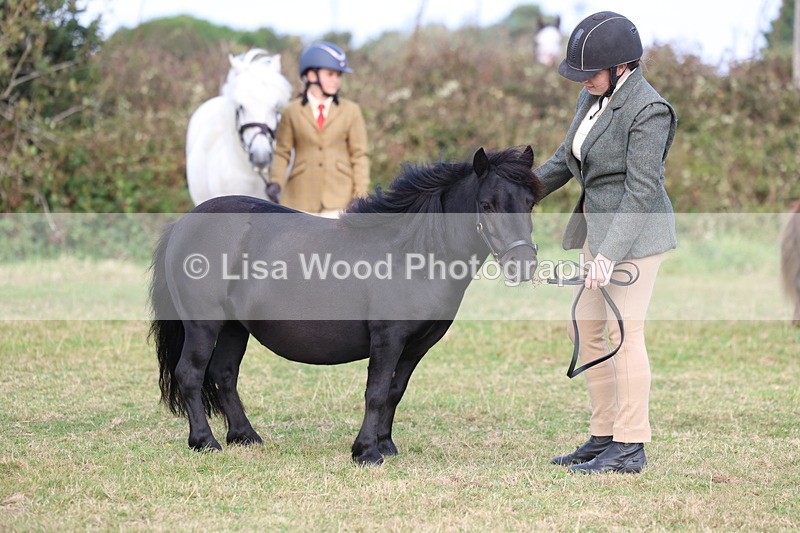 3E7A3286 - Class 12: M & M Small Breeds