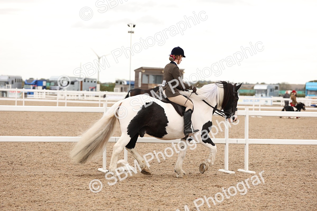 SBM_19635 - Class 216 - Ridden Traditional - Native Cob
