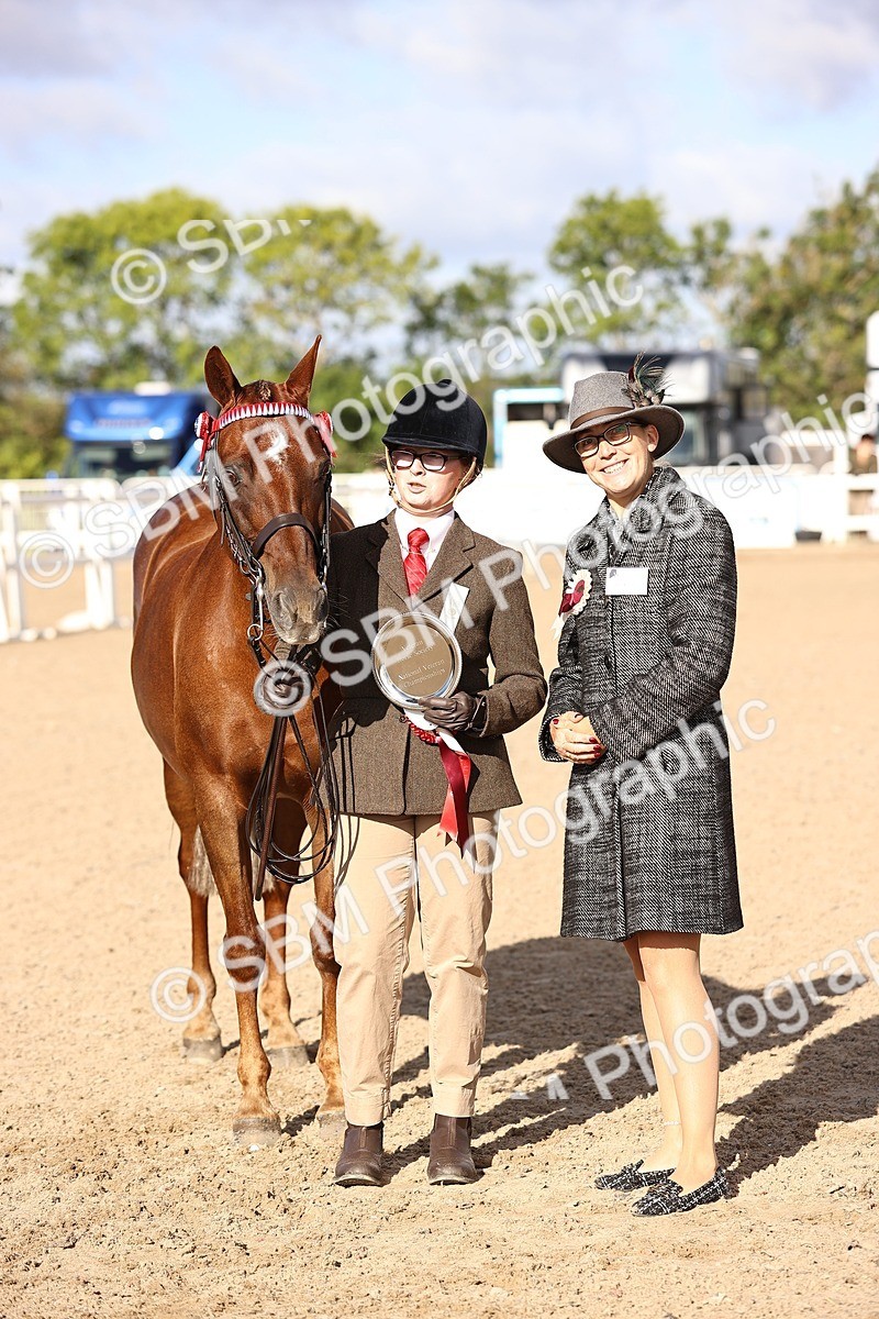 SBM_08536 - Class 402 - IH Veteran Pony