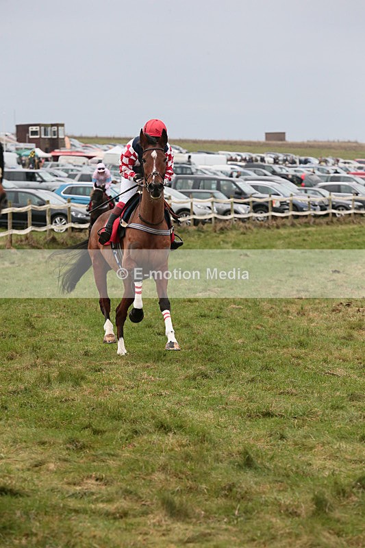 PtP 060119 83 - Larkhill Racing Club - Point-to-Point- 06/01/2019