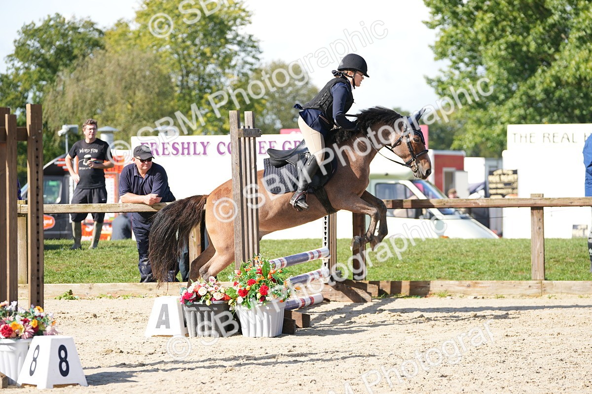 SBM_38337 - J6 - Junior Pony 55cm Championship