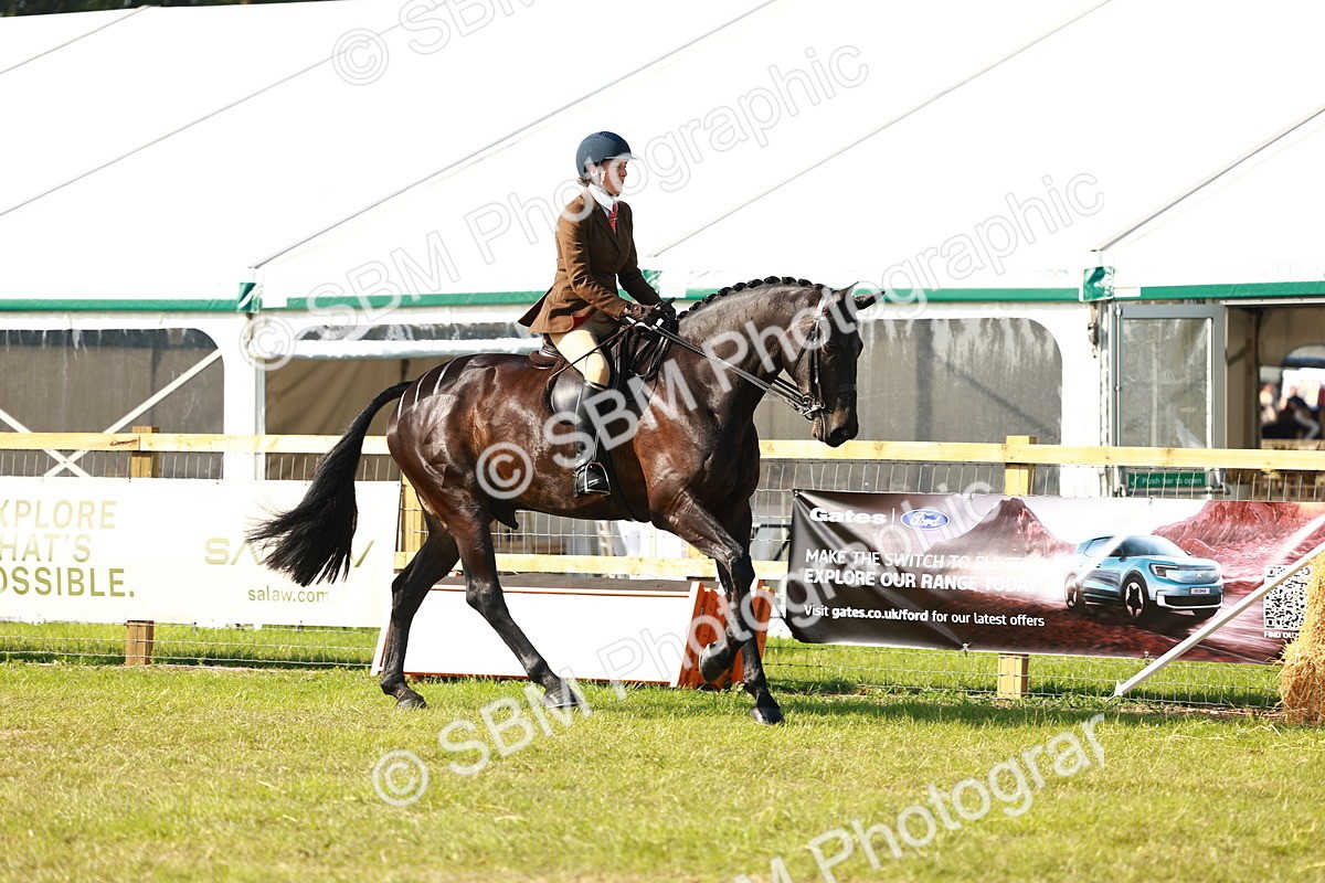 SBM_10890 - Class 66-69 - RIHS Ridden Hunters Inc Small Hunter