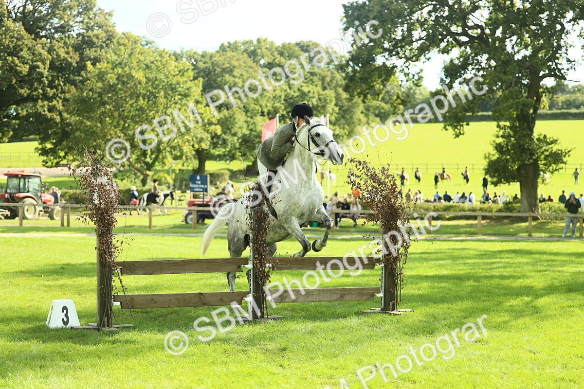 SBM_48069 - S32 - Novice & Newcomers Working Hunter
