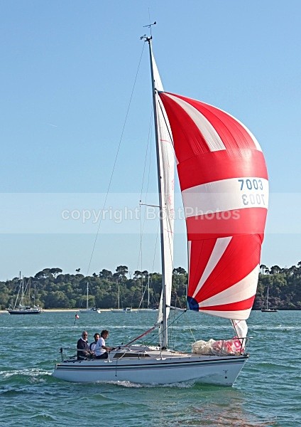 090530 7003 IMG_6671 - Sailboats - monohull