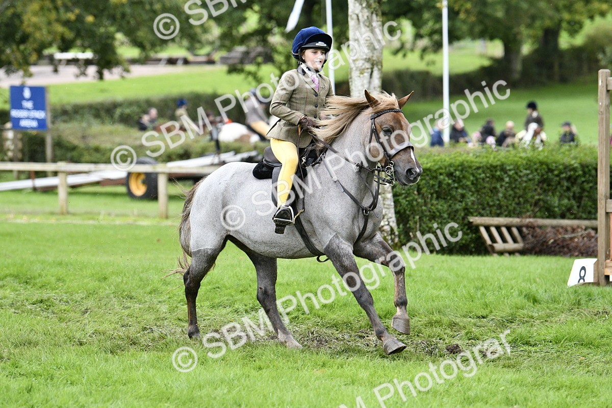 SBM_41327 - S32 - Mountain & Moorland Working Hunter Pony