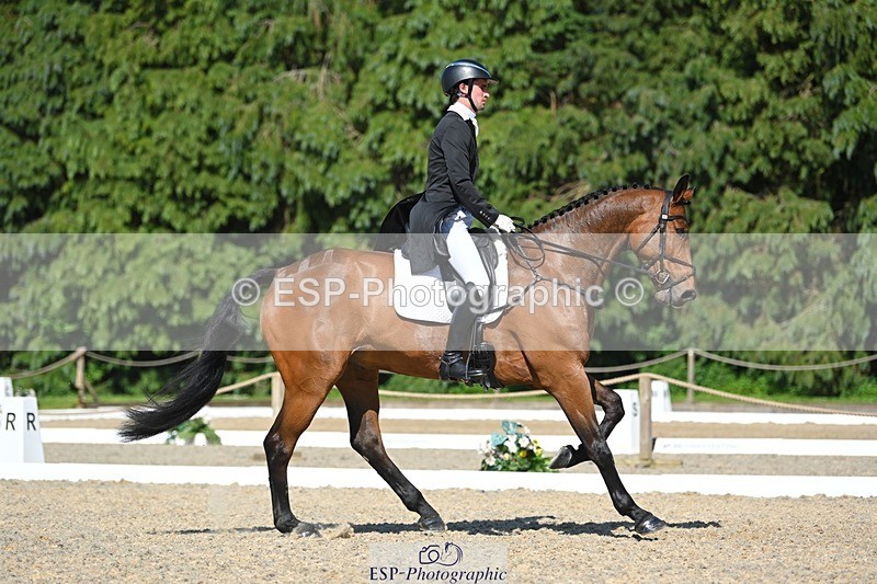 230526-161818-07332 - 255-HI_MR_HENRY-Henry_Hobby-WEDTrotUp+DR