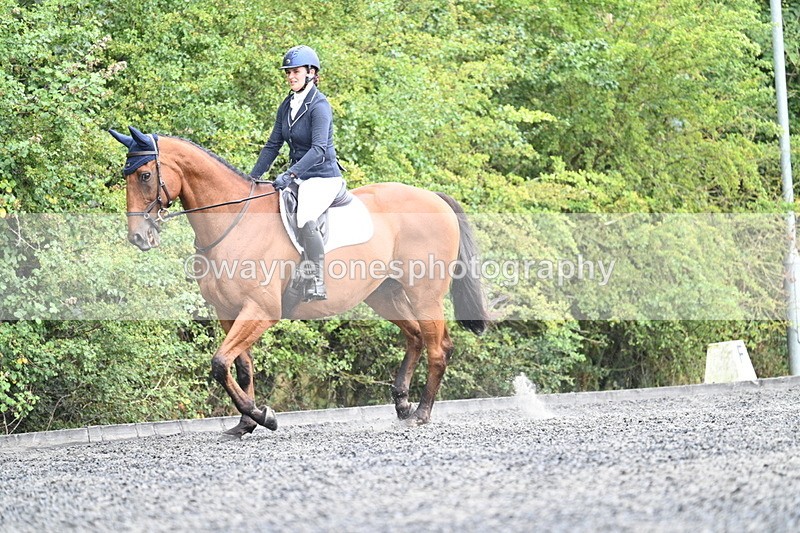 WJ7_6181 - Time 11:38 to 12:03