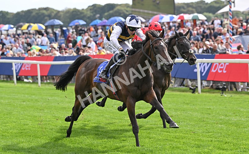 190826-190 Small Fry - Race 5 16.10pm Sky Bet Stayers Handicap