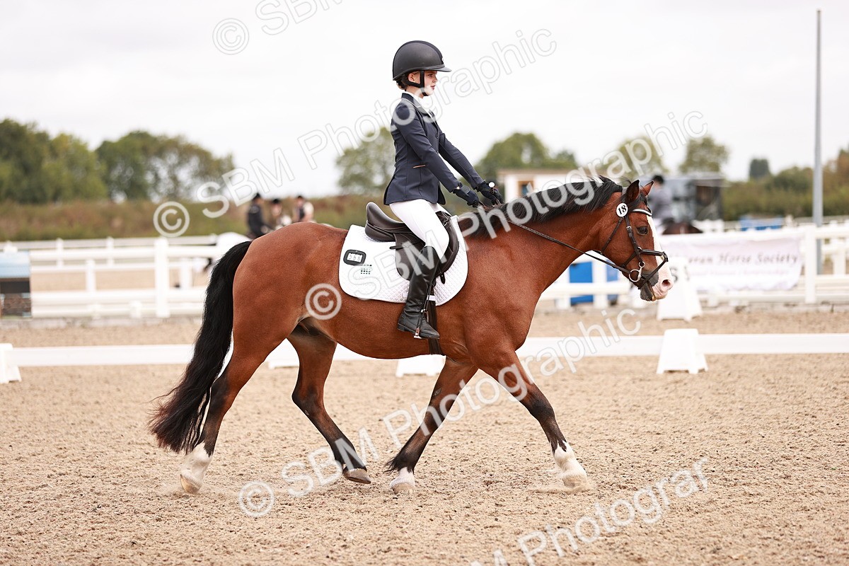 SBM_02435 - Class 35 - Intro 3