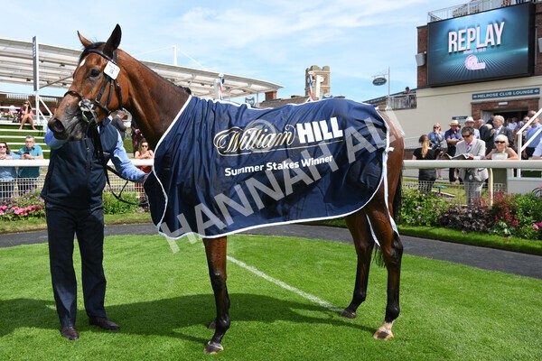 yr08072022r2-44 - Race 2 2.40pm William Hill Summer Stakes