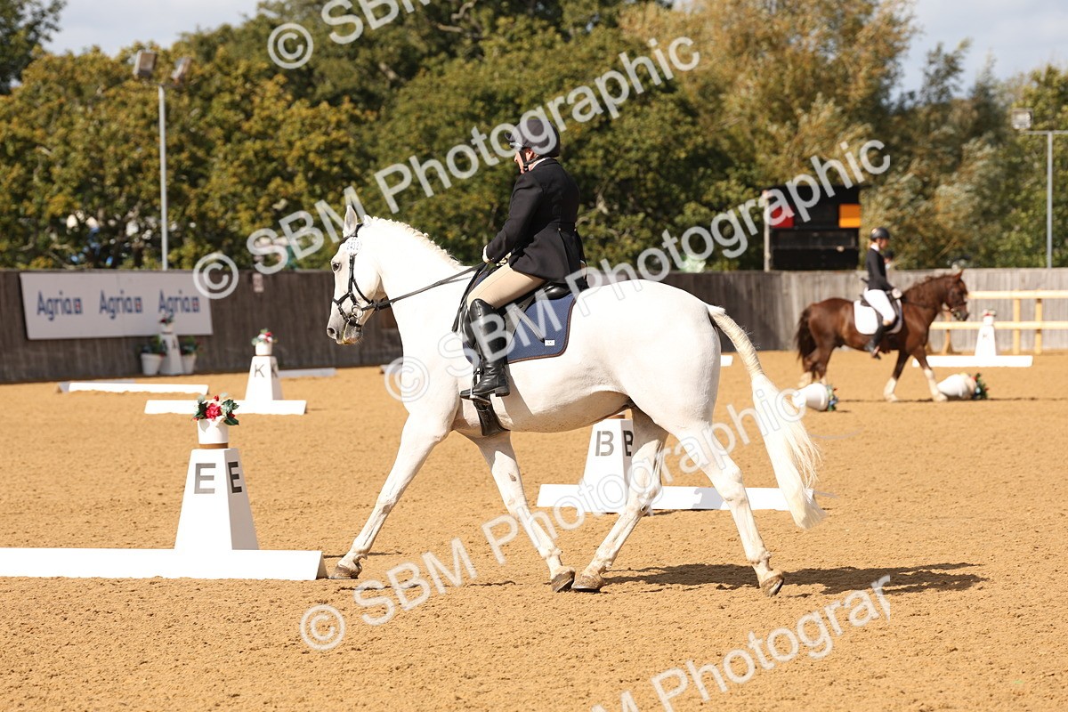 SBM_24534 - D17 - Grand Tour Championship Novice 3