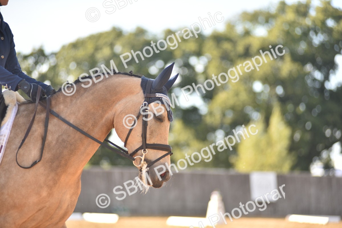 SBM_53302 - D24 - Junior Championship Prelim 3