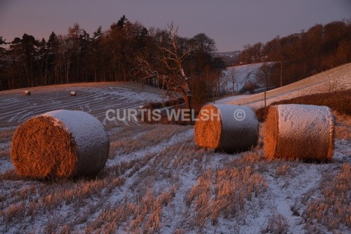 113 - SCOTTISH BORDERS
