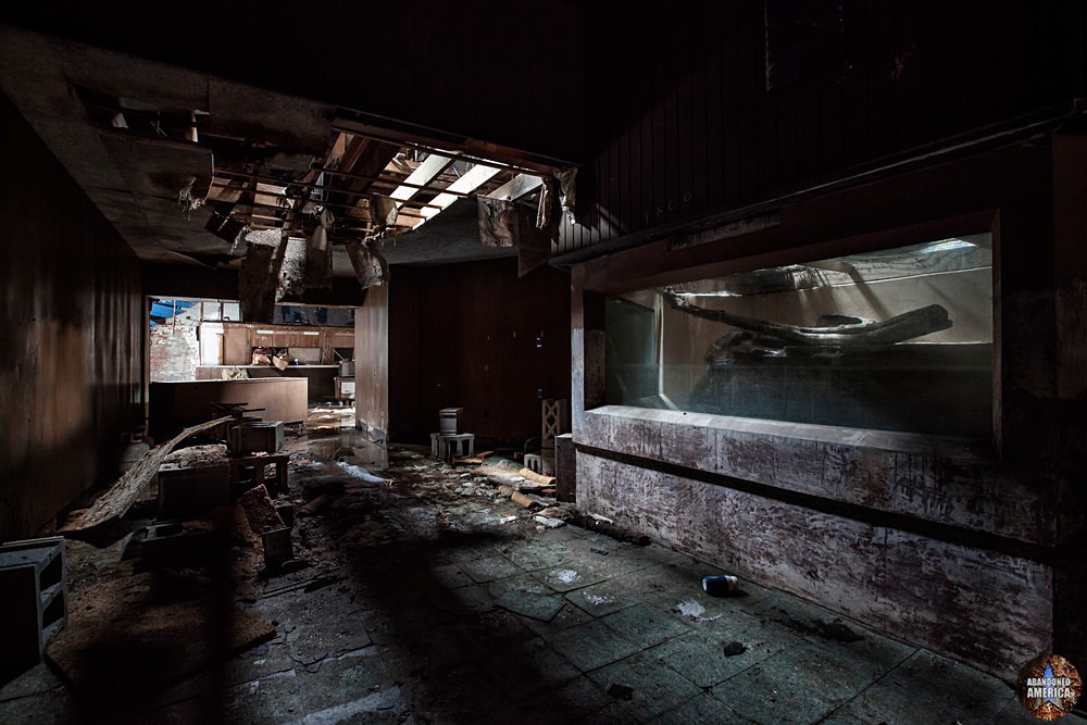  - The Abandoned Aquarium